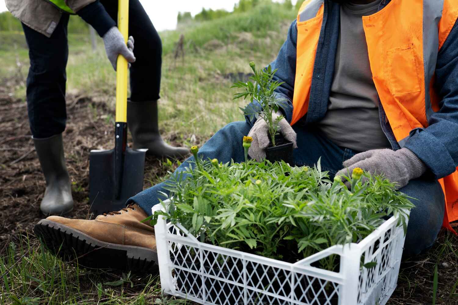 Professional Tree Service in New Franklin, MO